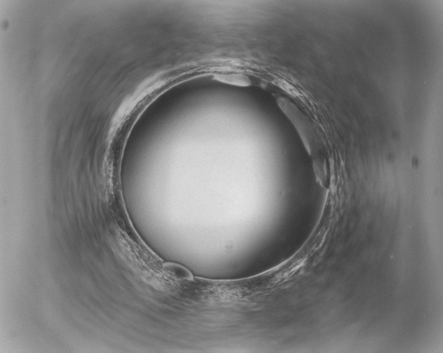 X0000055520343200508191551