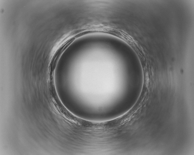 X0000055520344200508191551