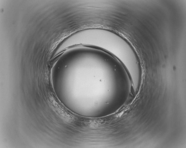 X0000055520345200508191551