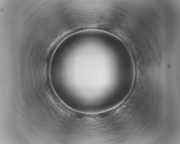 X0000055520346200508191551