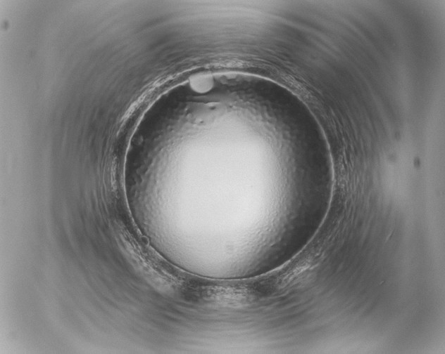 X0000055520347200508191551