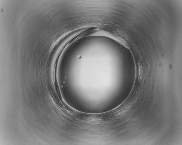 X0000055520348200508191551