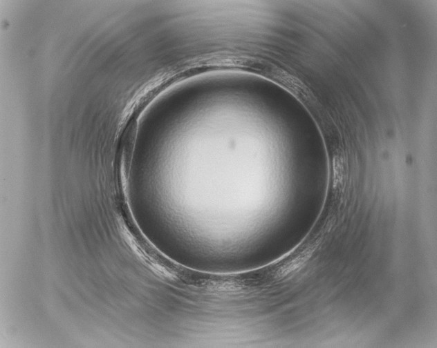 X0000055520349200508191551