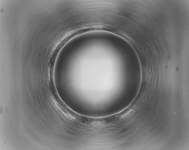 X0000055520350200508191551