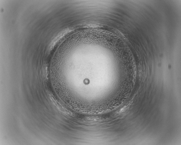 X0000055520351200508191551