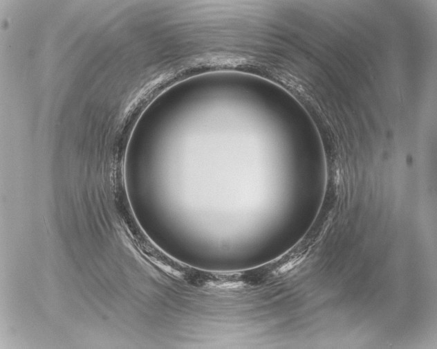 X0000055520352200508191551