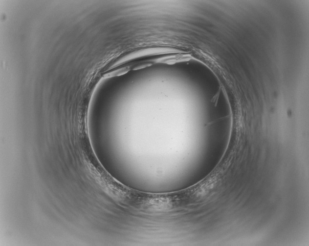 X0000055520353200508191551