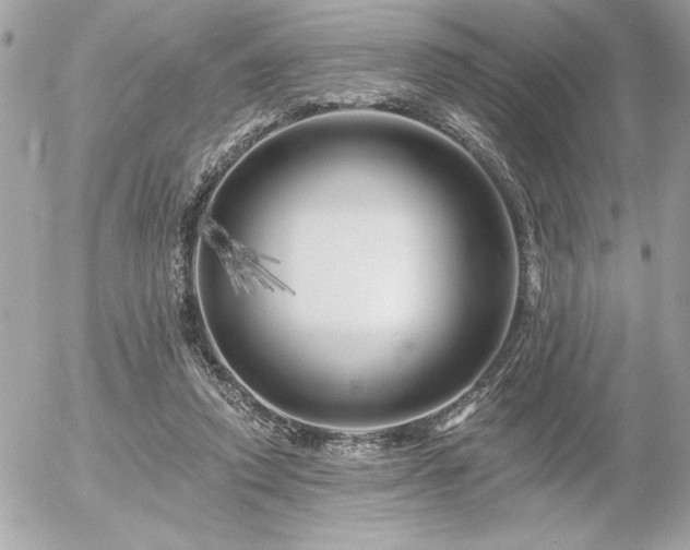 X0000055520354200508191551