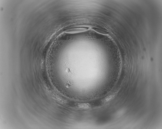 X0000055520355200508191551