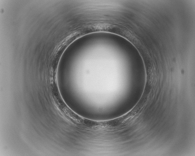 X0000055520356200508191551