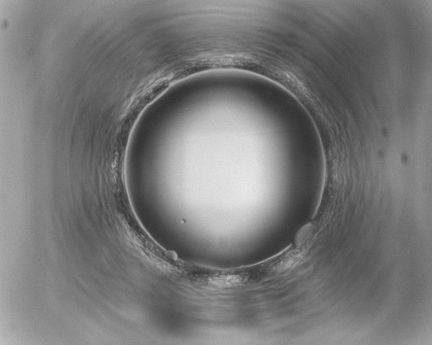 X0000055520357200508191551