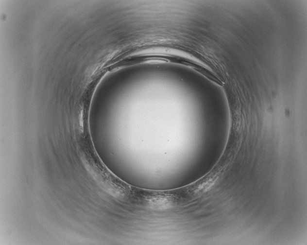 X0000055520358200508191551