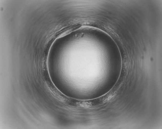 X0000055520359200508191551