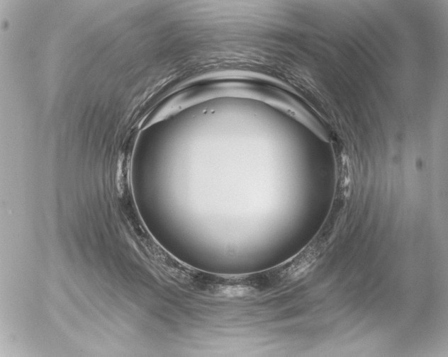 X0000055520360200508191551