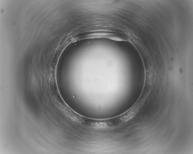 X0000055520361200508191551