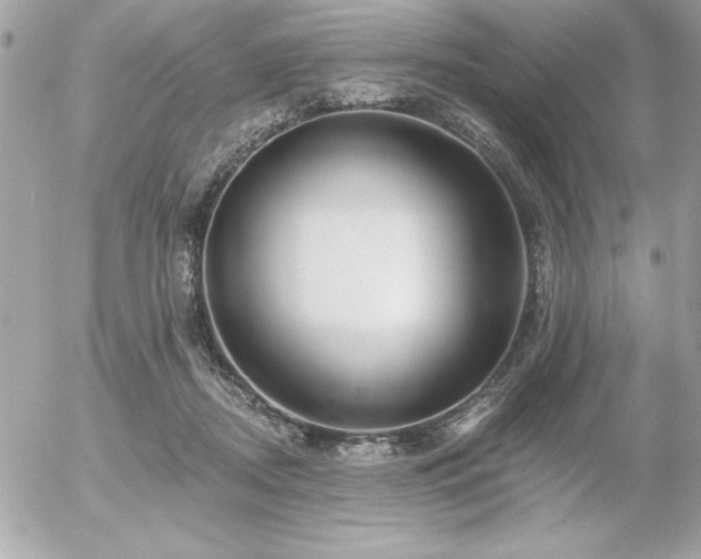 X0000055520362200508191551