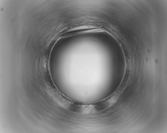 X0000055520363200508191551