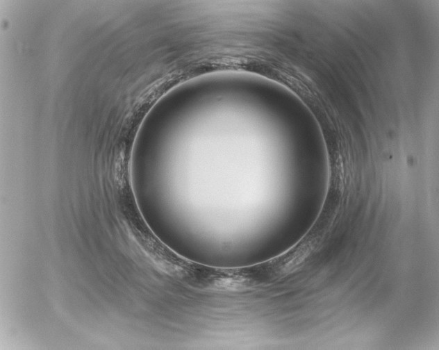 X0000055520364200508191552