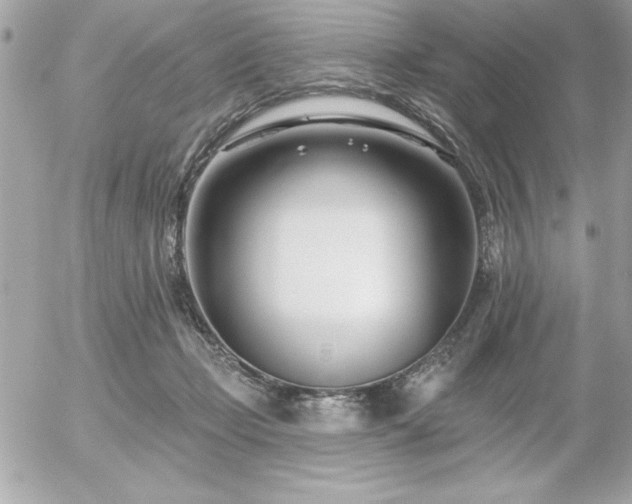 X0000055520365200508191552