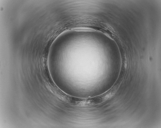 X0000055520366200508191552