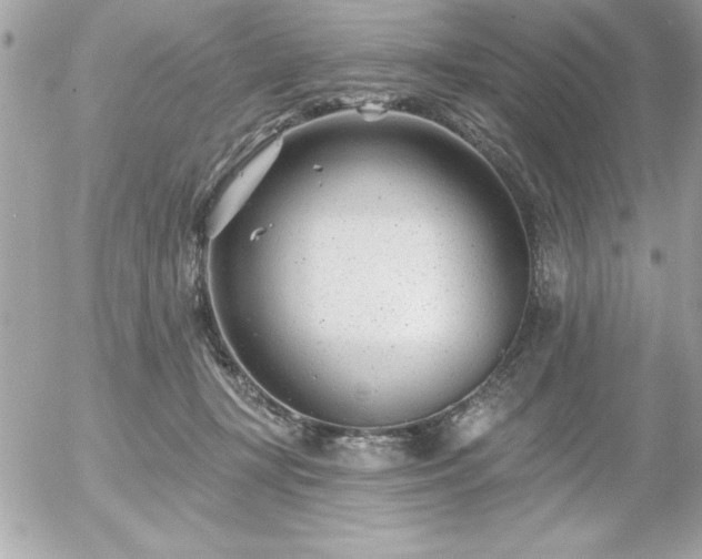 X0000055520367200508191552