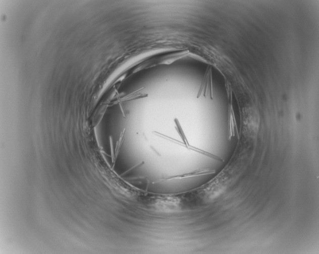 X0000055520369200508191552