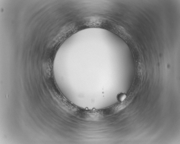 X0000055520370200508191552