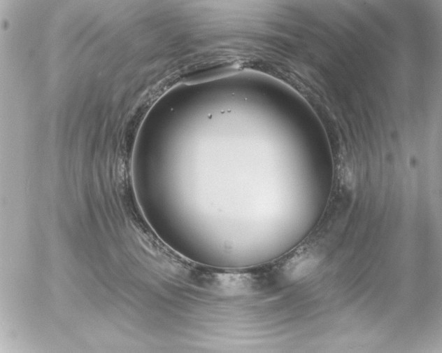 X0000055520371200508191552