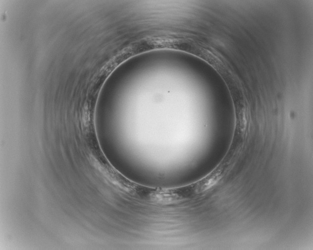 X0000055520372200508191552