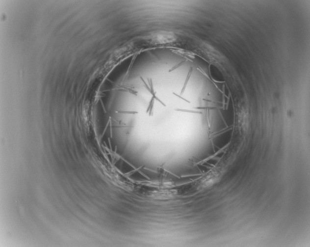 X0000055520373200508191552