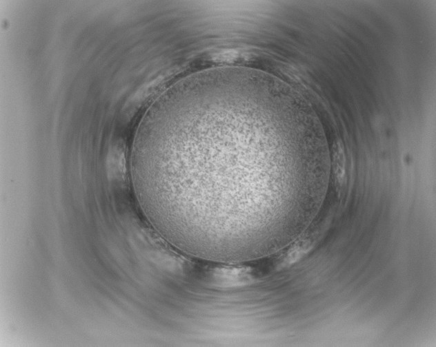 X0000055520375200508191552