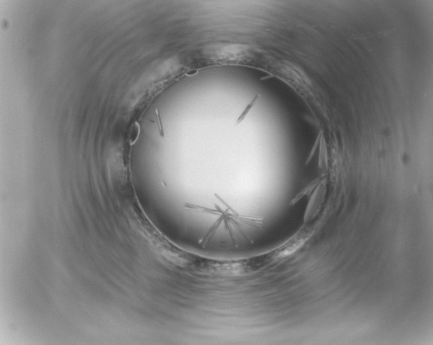 X0000055520377200508191552