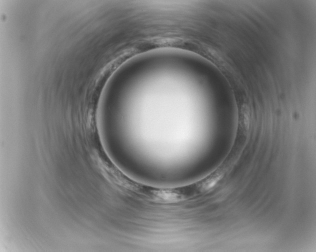 X0000055520380200508191552