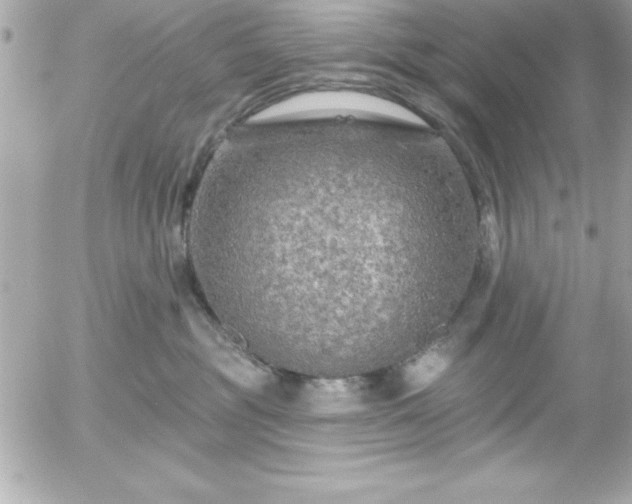 X0000055520381200508191552