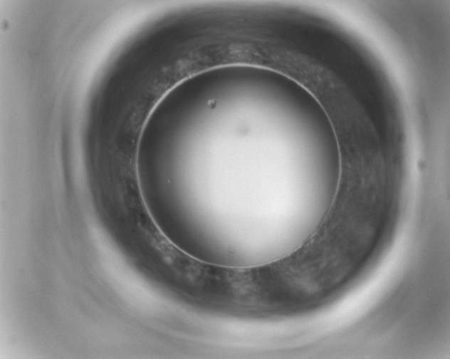 X0000055520382200508191552