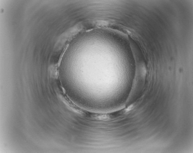 X0000055520383200508191552