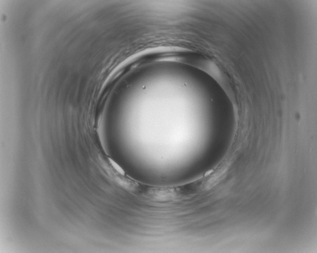 X0000055520384200508191552