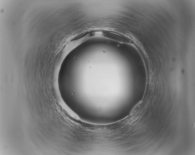 X0000055520385200508191551