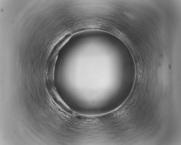 X0000055520386200508191551