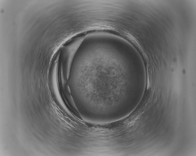 X0000055520387200508191551