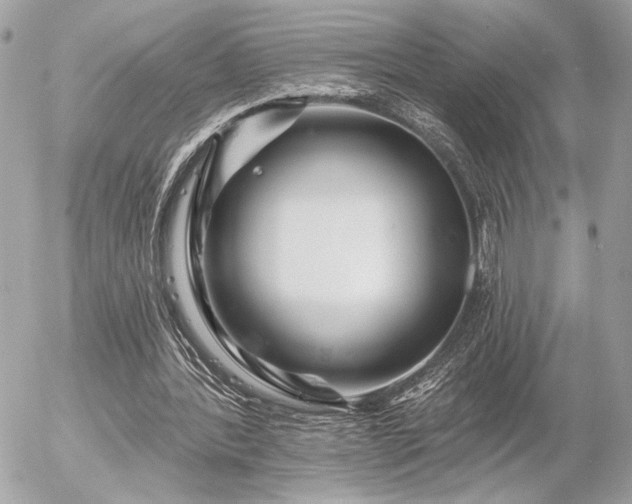 X0000055520388200508191551