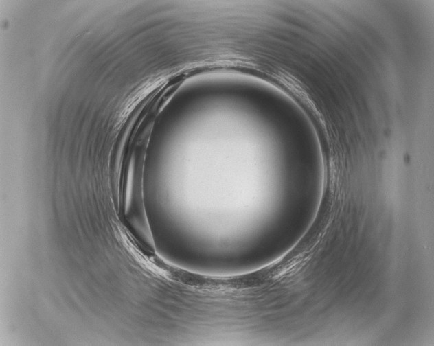 X0000055520389200508191551