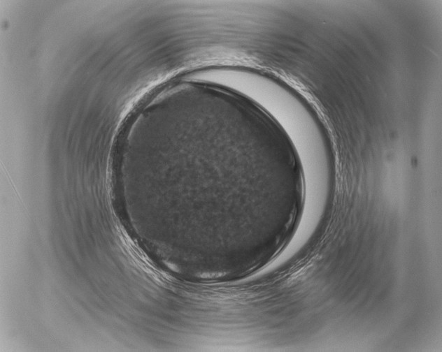 X0000055520391200508191551