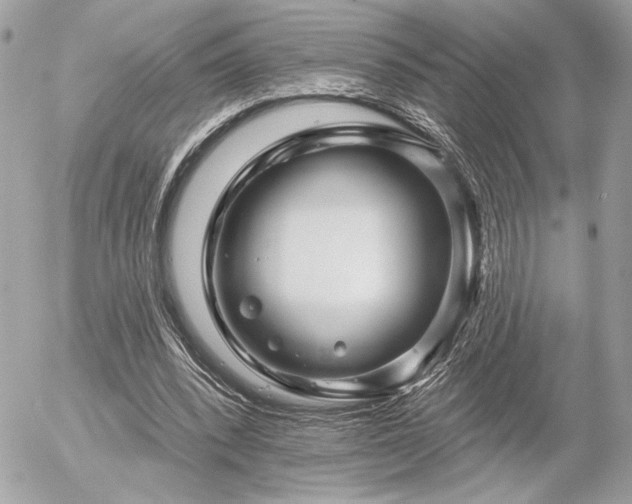 X0000055520392200508191551