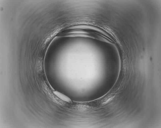 X0000055520393200508191551