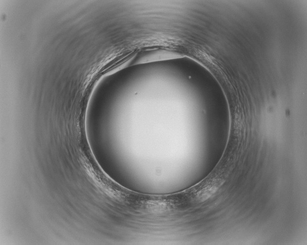 X0000055520394200508191551