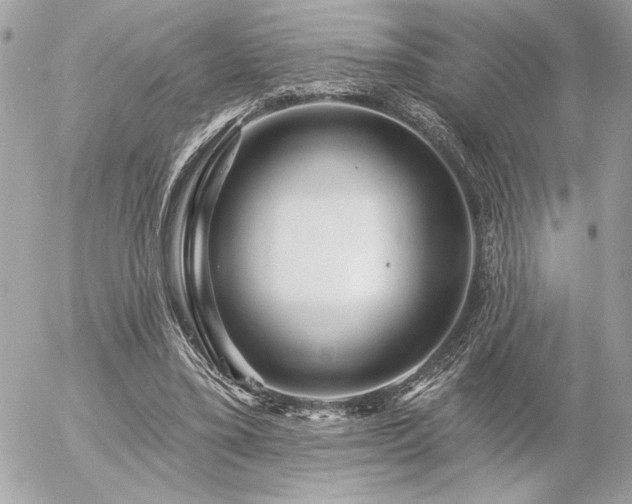 X0000055520395200508191551