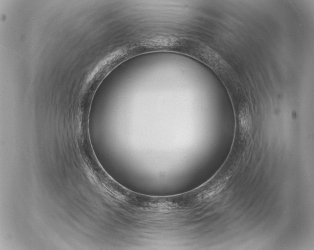 X0000055520396200508191551