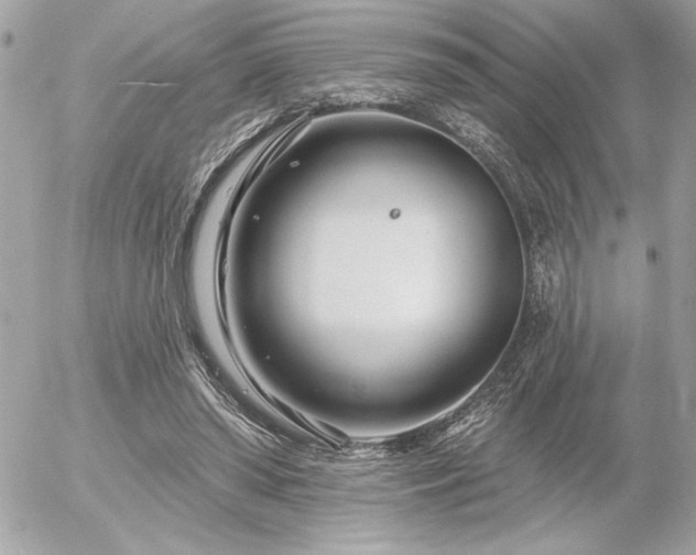 X0000055520398200508191551