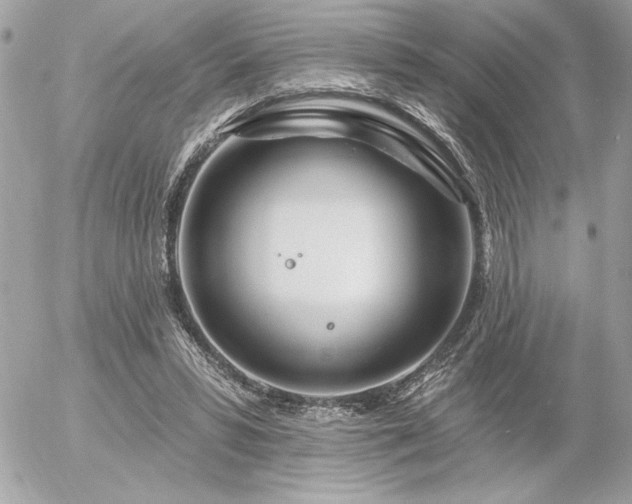 X0000055520399200508191551